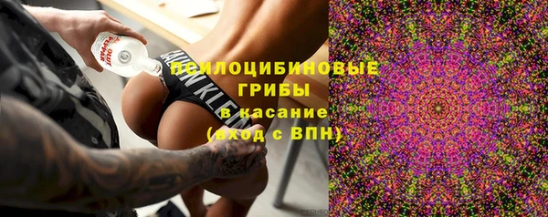гидропоника Алзамай