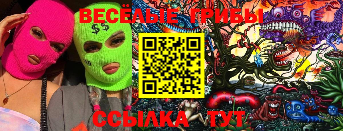 Салават  Псилоцибиновые грибы Psilocybine cubensis  Вход с VPN 